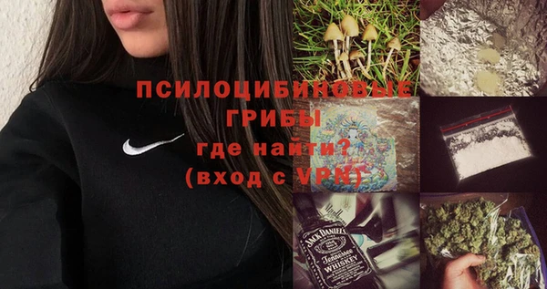 mix Алексин