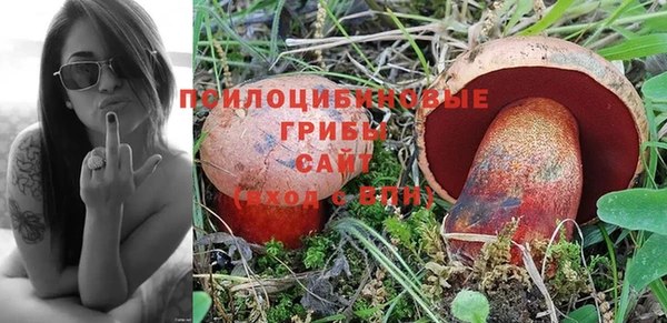 стаф Алексеевка