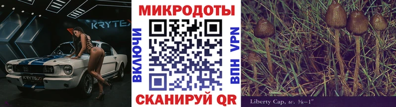 Псилоцибиновые грибы мицелий  Зуевка 